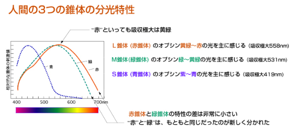 bunkou_tokusei